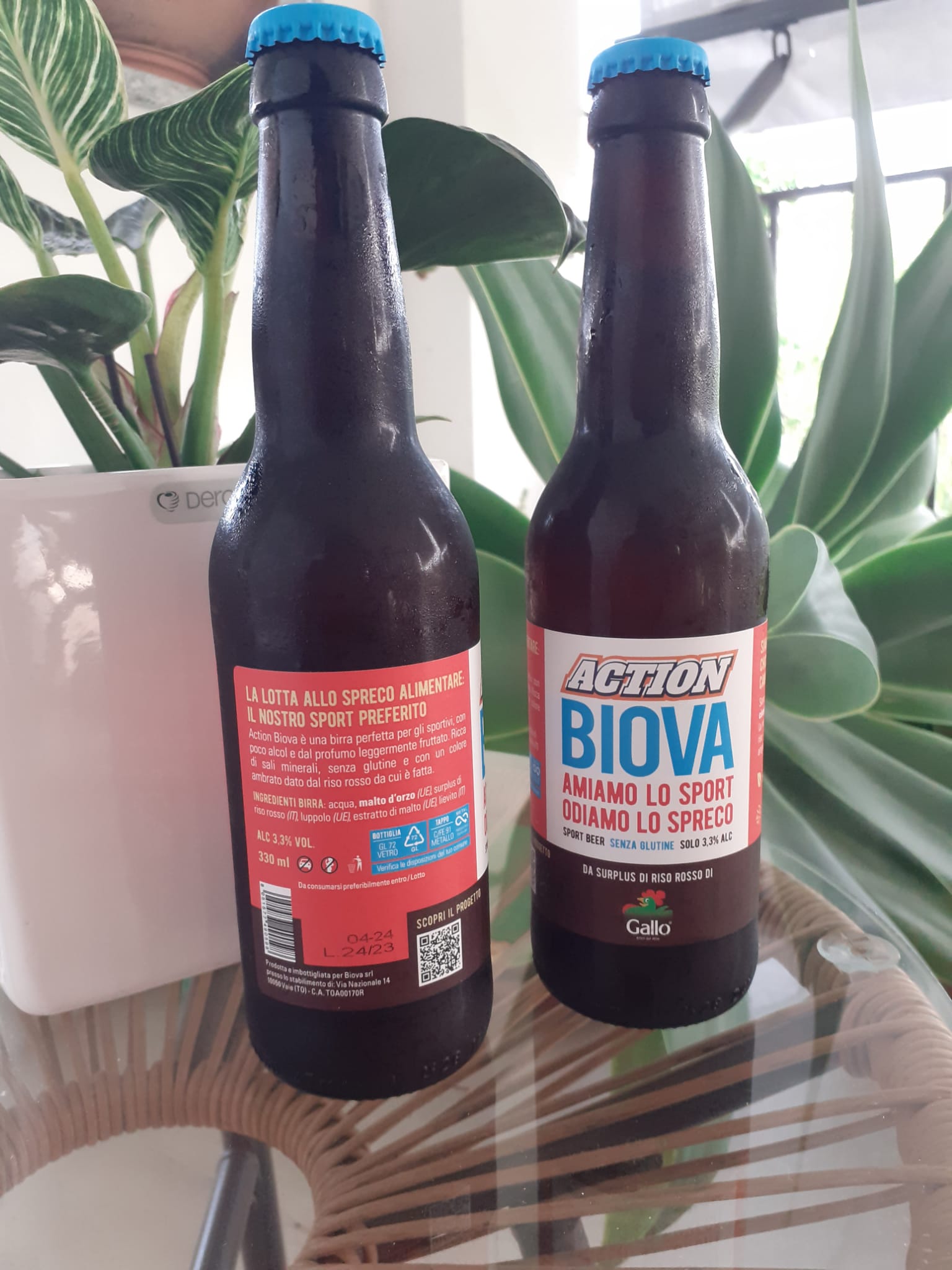 birra Action Biova